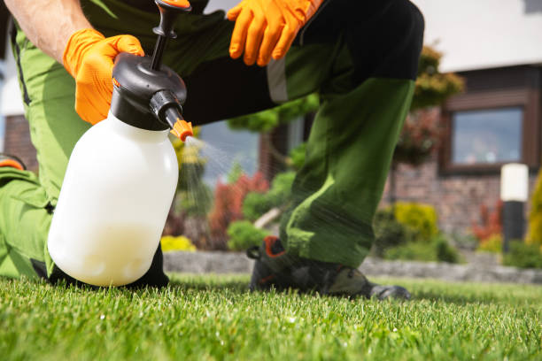 Best Termite Control Services  in Fenton, MI