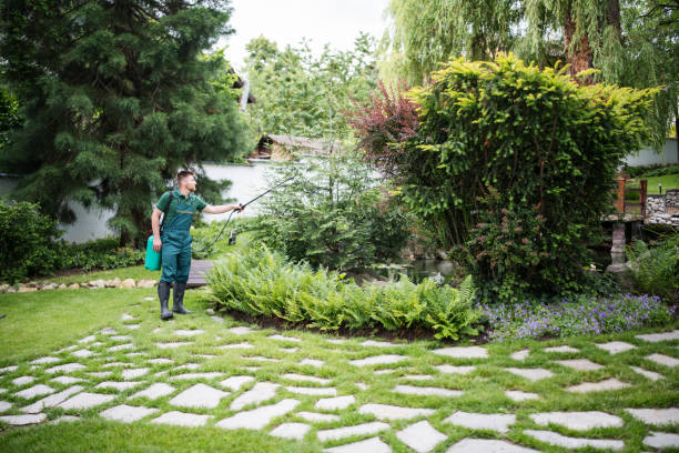 Best Best Pest Control Companies  in Fenton, MI