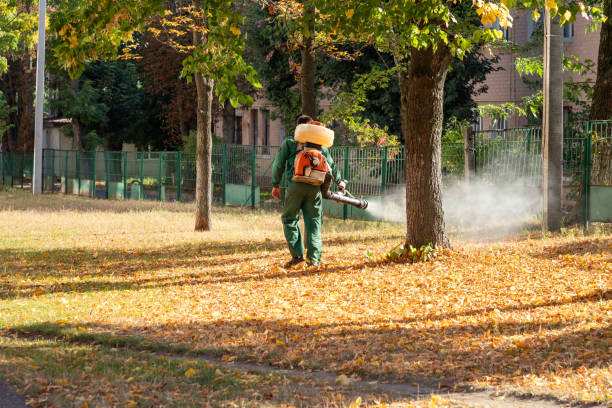 Bird Control in Fenton, MI