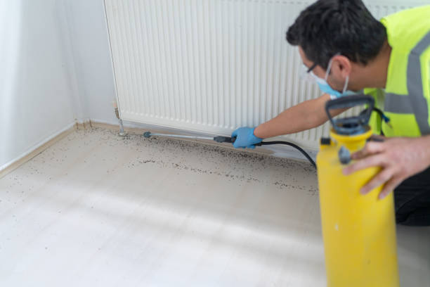 Best Emergency Pest Control  in Fenton, MI