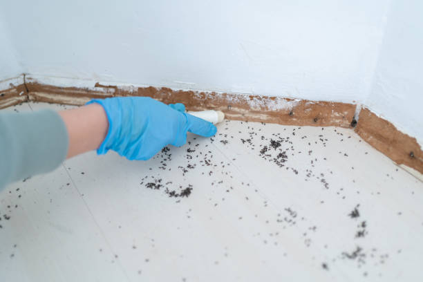 Best Pest Prevention Services  in Fenton, MI