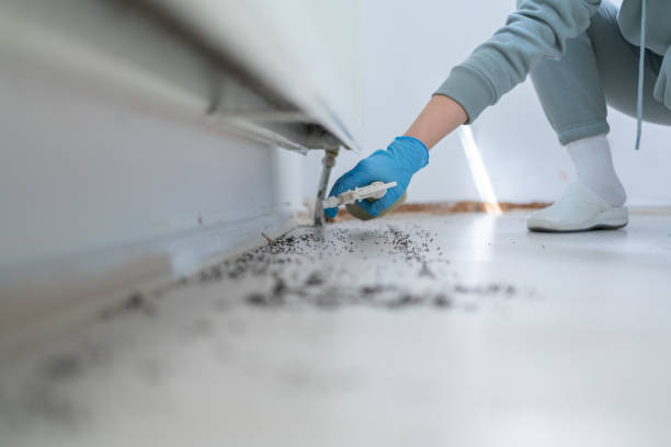 Best Rodent Control Near Me  in Fenton, MI